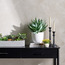 Shine Agave Plant in Ceramic Pot - 43 cm-household-gardenandoutdoor-artificialplants-succulents-image-3