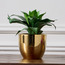 نبتة أغاف صناعية في وعاء - ليا - 29 سم-household-gardenandoutdoor-artificialplants-succulents-image-4