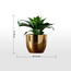 نبتة أغاف صناعية في وعاء - ليا - 29 سم-household-gardenandoutdoor-artificialplants-succulents-image-1