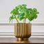 Naz Basil Plant in Pot - 29 cm-household-gardenandoutdoor-artificialplants-pottedplants-image-1