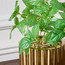 Naz Basil Plant in Pot - 29 cm-household-gardenandoutdoor-artificialplants-pottedplants-image-2