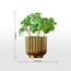 Naz Basil Plant in Pot - 29 cm-household-gardenandoutdoor-artificialplants-pottedplants-image-4