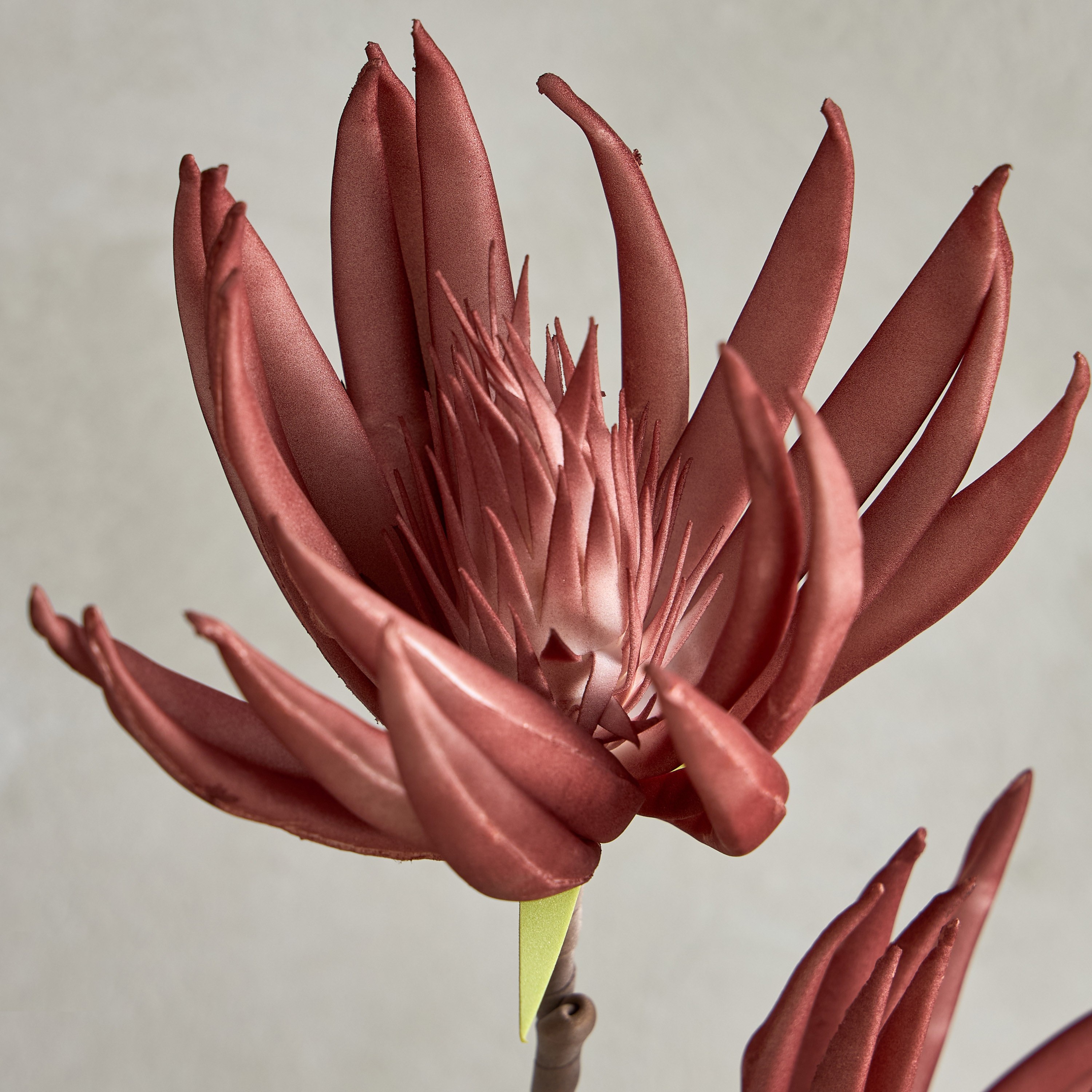Aloe Stem - 92 cm-household-gardenandoutdoor-artificialflowersandplants-fillers-image-2