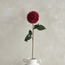 Dandelion Flower Stem - 24 cm-household-gardenandoutdoor-artificialflowersandplants-stems-image-1