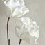 Peony Flower - 92 cm-household-gardenandoutdoor-artificialflowersandplants-stems-image-3