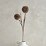 ساق نبات كروي مزدوج - 95 سم-binpromo_KSA_SNB_15092026-image-3