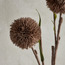 ساق نبات كروي مزدوج - 95 سم-binpromo_KSA_SNB_15092026-image-2