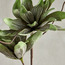 زهرة ماجنوليا صناعية - 105 سم-household-gardenandoutdoor-artificialflowersandplants-stems-image-2