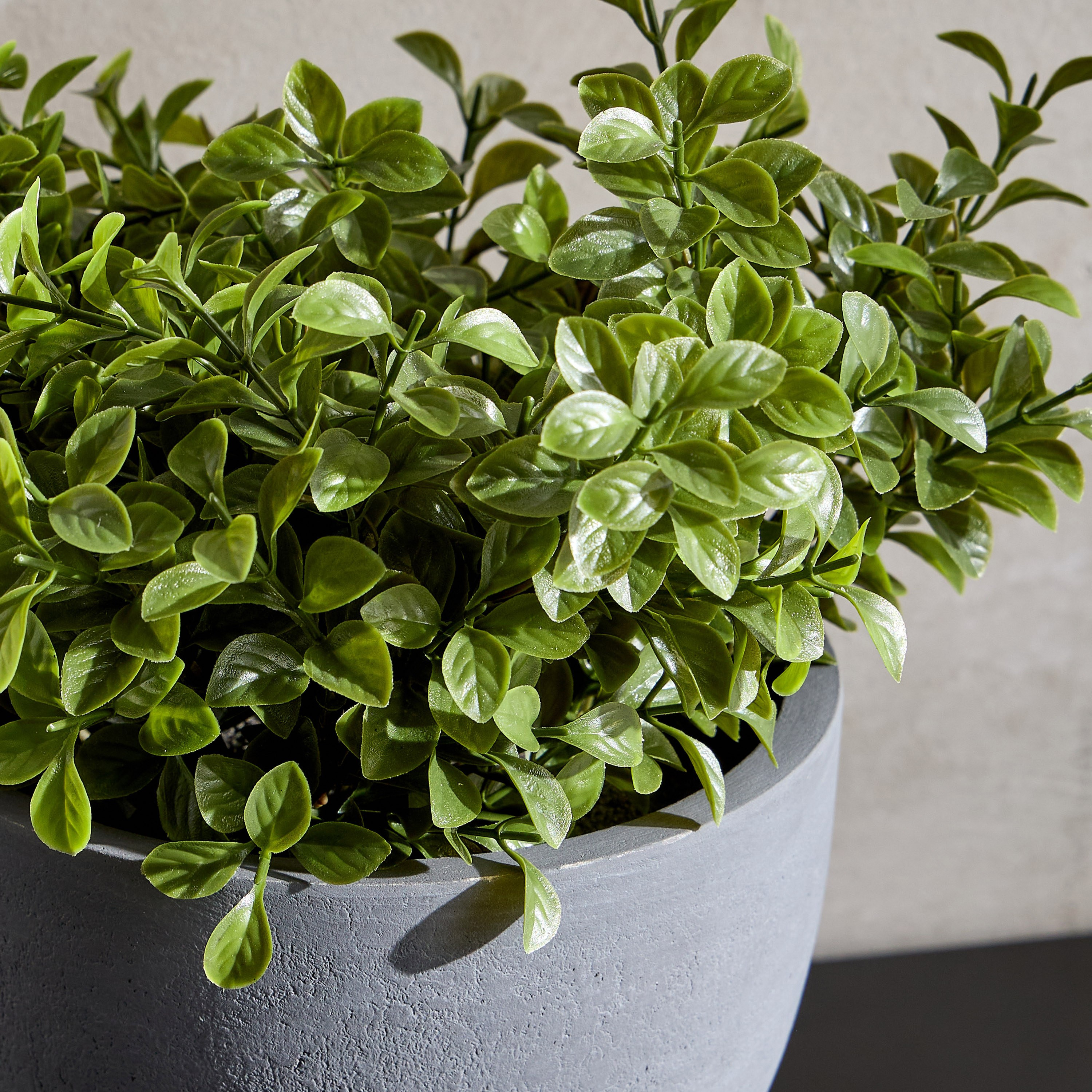 Terra Shrub in Footed Pot - 36 cm-household-gardenandoutdoor-artificialplants-pottedplants-image-2