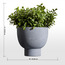 Terra Shrub in Footed Pot - 36 cm-household-gardenandoutdoor-artificialplants-pottedplants-image-4