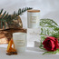 Aromatium Mandarin & Ambar Scented Jar Candle - 30 h-Voucher_HCOC_ALL_25022025-image-3