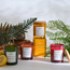 Aromatium Botanical Essences Sweet Almond Scented Candle - 30 h-household-homefragrance-candles-image-3