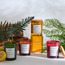 Aromatium Botanical Essences Bamboo and Jasmine Scented Candle - 30 h-household-homefragrance-candles-image-3