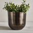 Satin Metal Planter - 19 cm-household-gardenandoutdoor-potsandplanters-planters-image-1