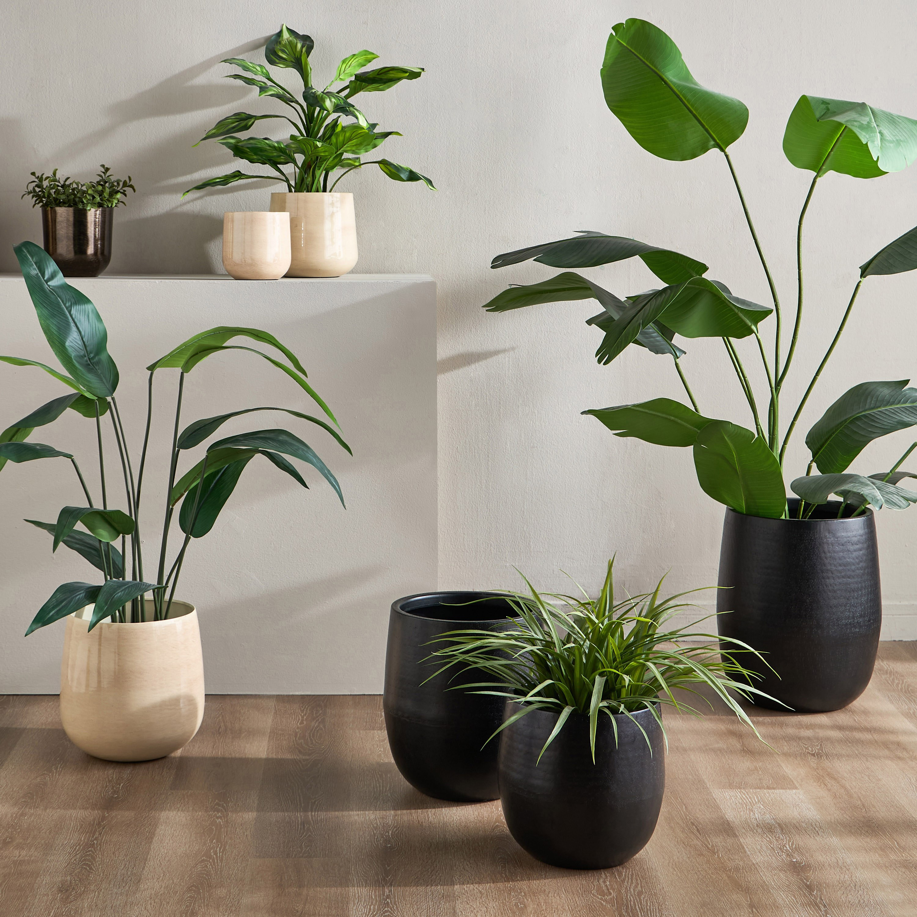 Satin Metal Planter - 19 cm-household-gardenandoutdoor-potsandplanters-planters-image-4