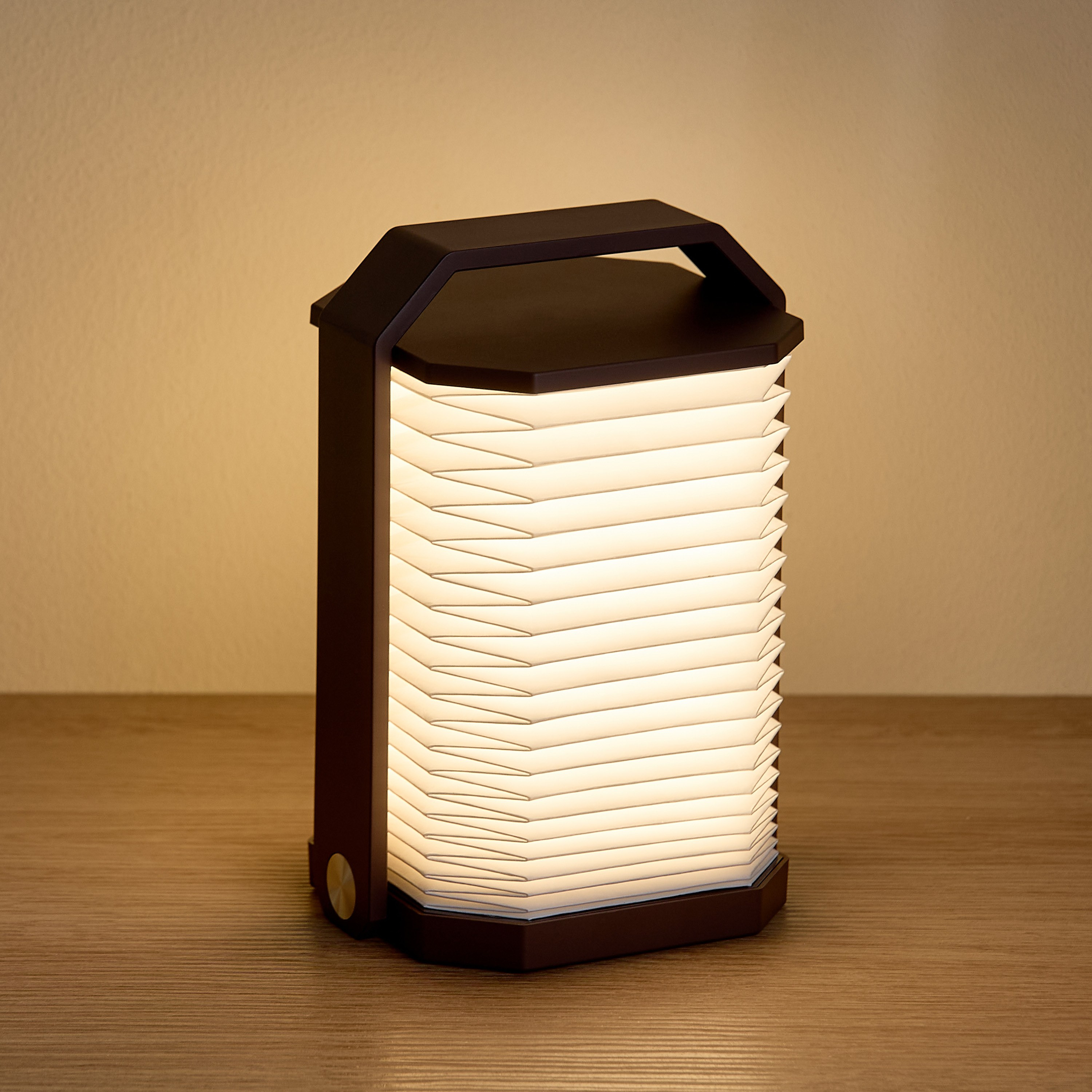 Oaklyn USB Operated LED Hand Lamp-household-lighting-decorativelighting-noveltylights-image-1