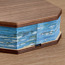 مصباح ديكور بتصميم أزهار-household-lighting-decorativelighting-noveltylights-image-2