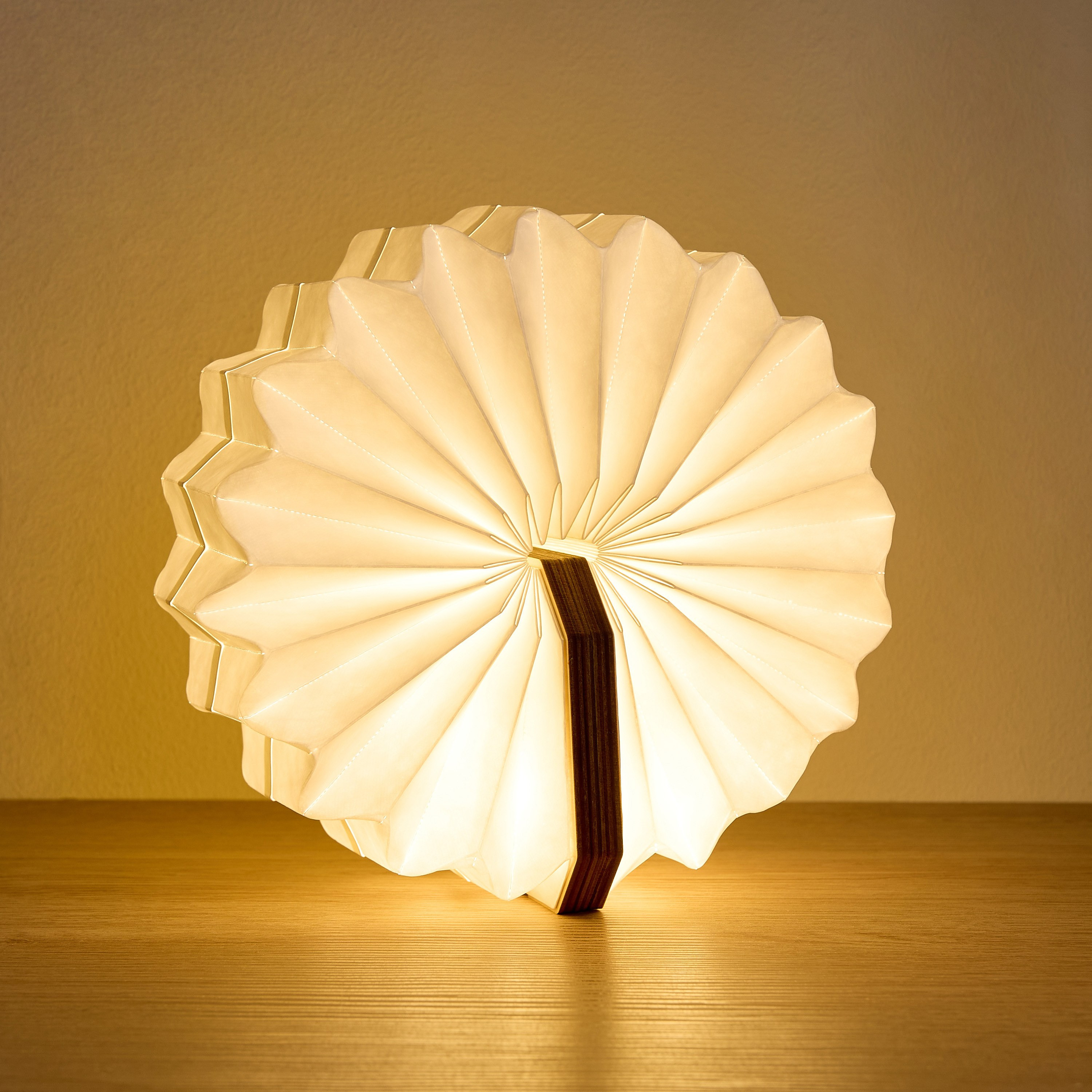 Quent USB Operated LED Accordion Lamp