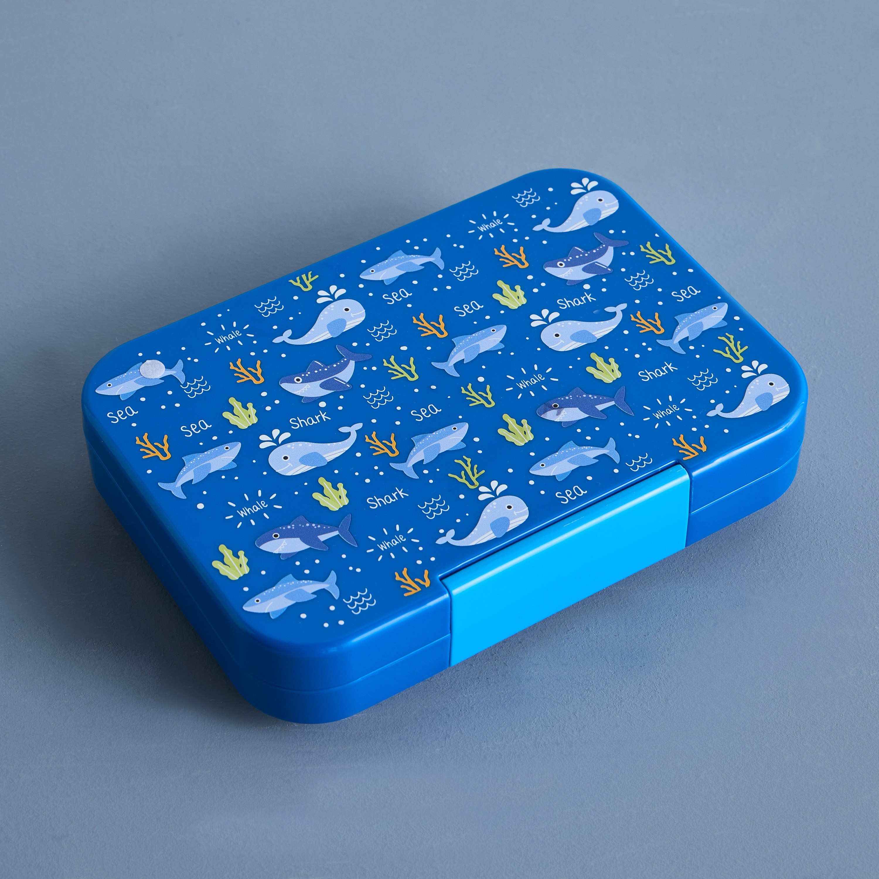 Jacob Lunch Box