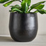 إناء زرع معدن - أودن - 29 سم-household-gardenandoutdoor-potsandplanters-planters-image-5