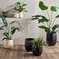 Auden Metal Planter - 37 cm-household-gardenandoutdoor-potsandplanters-planters-image-4