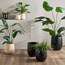 Auden Thick Rim Metal Planter - 46 cm-household-gardenandoutdoor-potsandplanters-planters-image-4