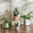 Eden Glint Glaze Iron Planter - 16.6 cm-household-gardenandoutdoor-potsandplanters-planters-image-4