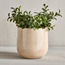حوض زرع معدن - إيدن جلينت - 17 سم-household-gardenandoutdoor-potsandplanters-planters-image-5