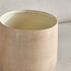 حوض زرع معدن - إيدن جلينت - 17 سم-household-gardenandoutdoor-potsandplanters-planters-image-3