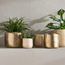 حوض زرع معدن - إيدن جلينت - 17 سم-household-gardenandoutdoor-potsandplanters-planters-image-2