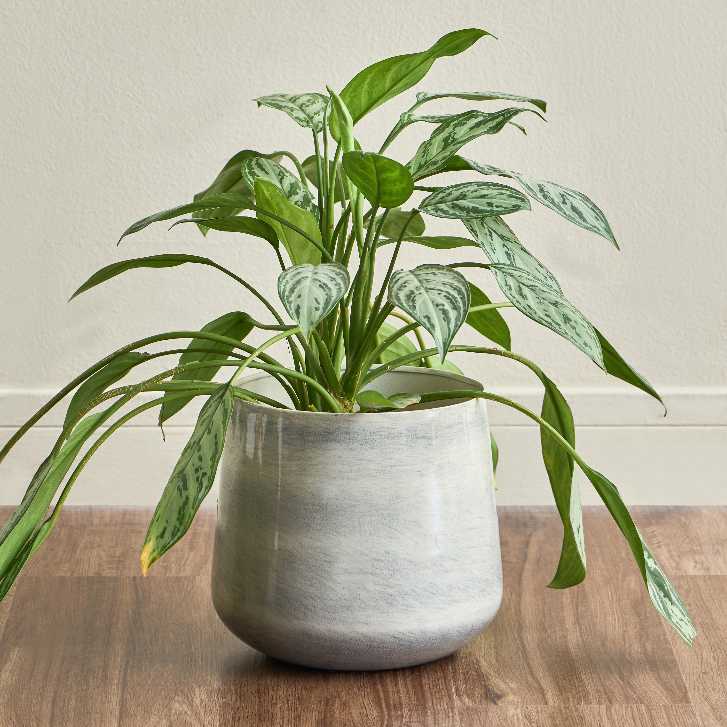 Eden Glint Glaze Metal Planter - 22 cm-household-gardenandoutdoor-potsandplanters-planters-image-1