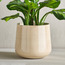 Eden Glint Glaze Metal Planter - 22 cm-household-gardenandoutdoor-potsandplanters-planters-image-1