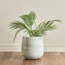 Eden Glint Glaze Metal Planter - 30 cm-household-gardenandoutdoor-potsandplanters-planters-image-1