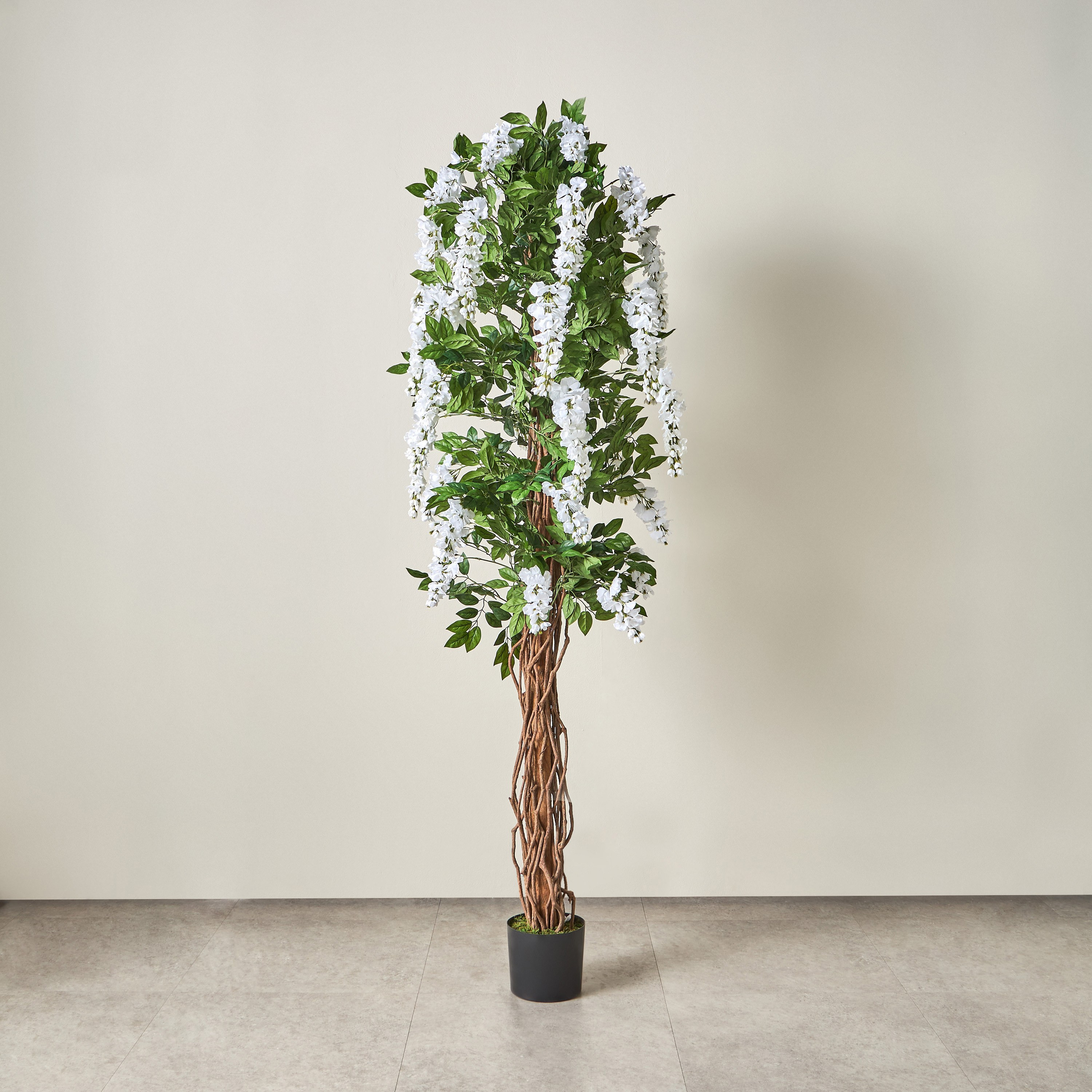 Wisteria Tree - 230 cm-household-gardenandoutdoor-trees-image-1