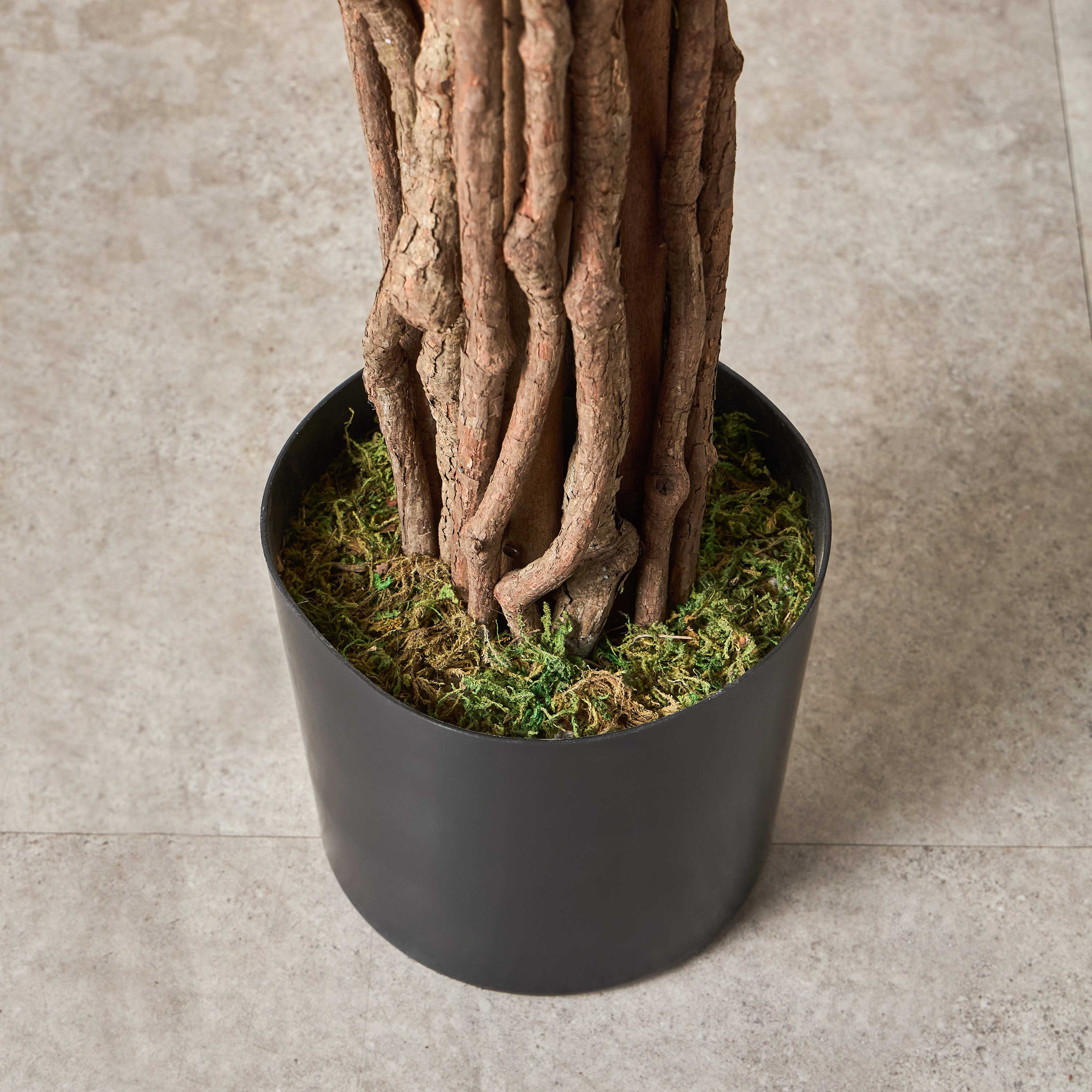 Wisteria Tree - 230 cm-household-gardenandoutdoor-trees-image-2