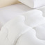 لحاف كوين تدفئة خفيفة - سليب أدفانسد - 200x200 سم-household-bedding-duvetandcovers-duvets-image-3