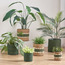 إصيص من الجوت وعشب البحر - ميجو ميا - 28 سم-household-gardenandoutdoor-potsandplanters-planters-image-2