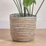 إصيص من عشب البحر والقش - كاريستو - 28 سم-household-gardenandoutdoor-potsandplanters-planters-image-5