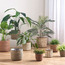 إصيص من عشب البحر والقش - كاريستو - 28 سم-household-gardenandoutdoor-potsandplanters-planters-image-2