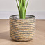 إناء زراع من الأعشاب البحرية والقش - كاريستو - 22 سم-household-gardenandoutdoor-potsandplanters-planters-image-5