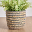 Caresto Seagrass and Straw Planter - 15 cm-binpromo_KSA_Alrajhi_17062026-image-1