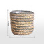 Caresto Seagrass and Straw Planter - 15 cm-binpromo_KSA_Alrajhi_17062026-image-5