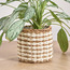 إصيص من الجوت وعشب البحر - ميجو ميا - 22 سم-household-gardenandoutdoor-potsandplanters-planters-image-5