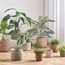 إصيص من الجوت وعشب البحر - ميجو ميا - 22 سم-household-gardenandoutdoor-potsandplanters-planters-image-2