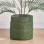 Caresto Seagrass Planter - 28 cm-household-gardenandoutdoor-potsandplanters-planters-image-1