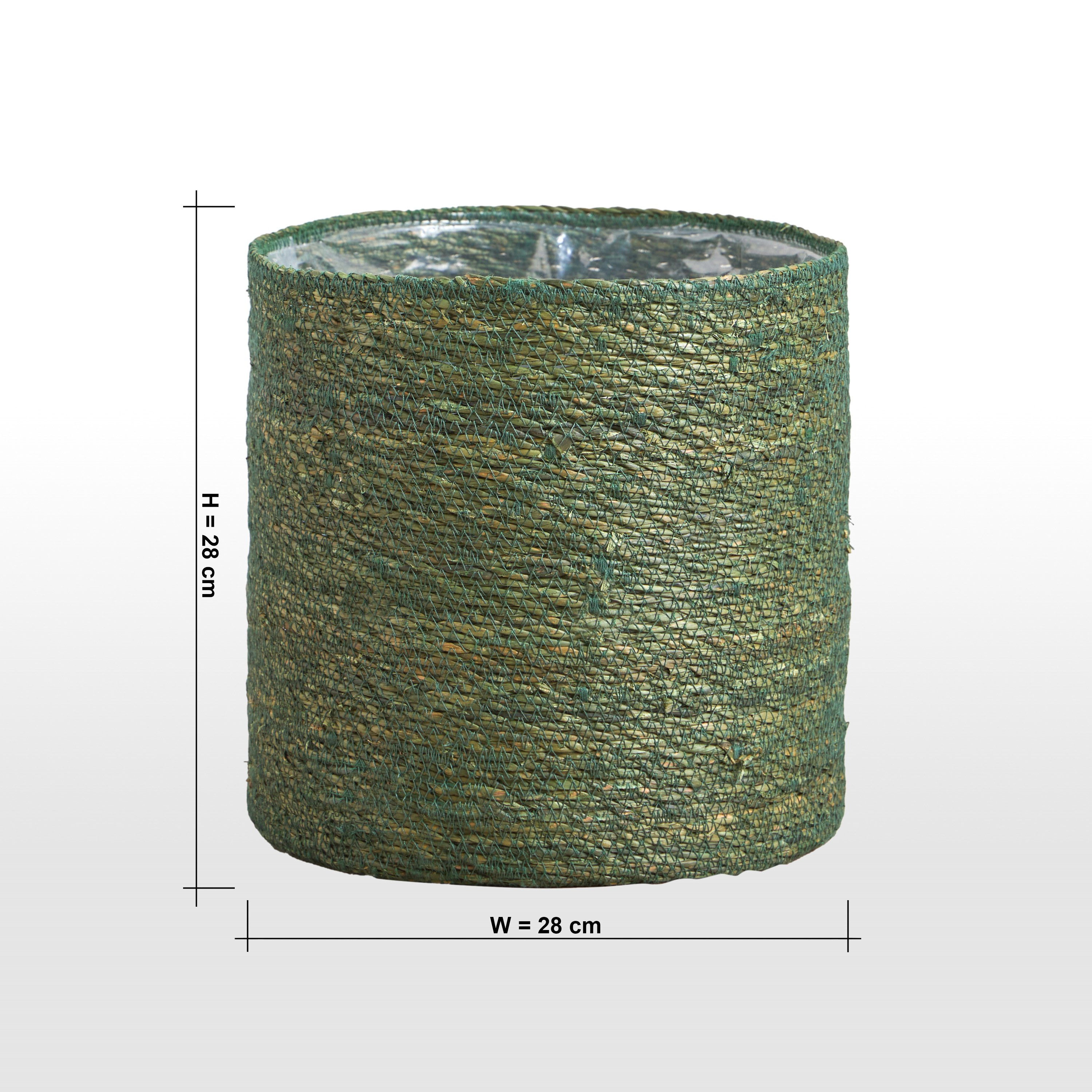 Caresto Seagrass Planter - 28 cm-household-gardenandoutdoor-potsandplanters-planters-image-5
