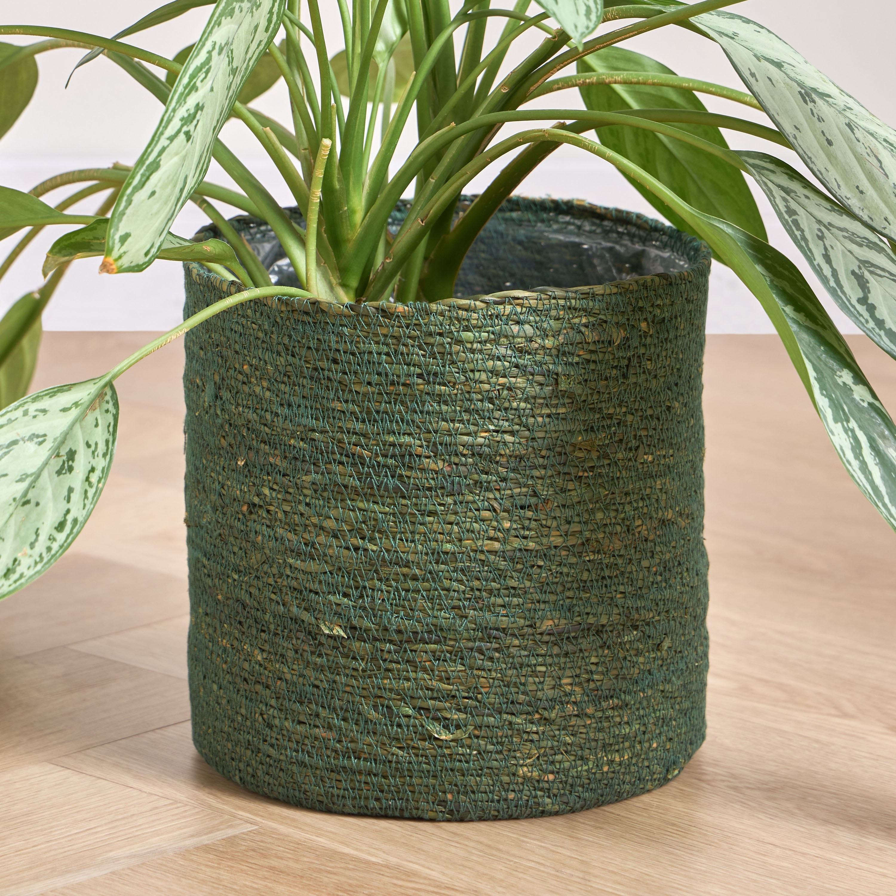 Caresto Seagrass Planter - 22 cm-household-gardenandoutdoor-potsandplanters-planters-image-1