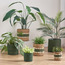 إصيص من عشب البحر - كاريستو - 22 سم-household-gardenandoutdoor-potsandplanters-planters-image-2
