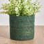 إناء زرع من الأعشاب البحرية - كاريستو - 15 سم-household-gardenandoutdoor-potsandplanters-planters-image-5
