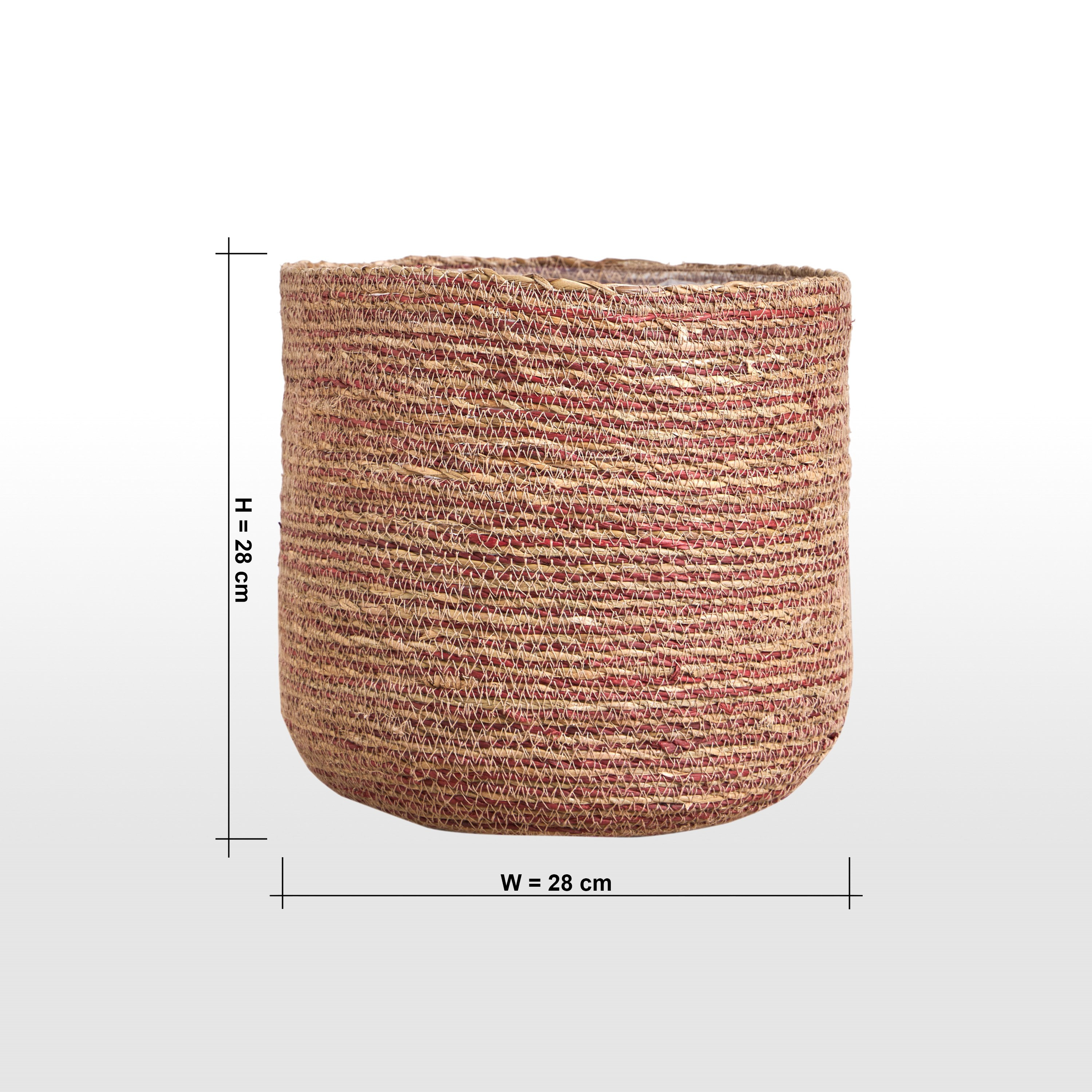Caresto Seagrass Planter - 28 cm-household-gardenandoutdoor-potsandplanters-planters-image-5